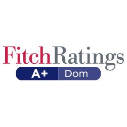 FITCH RATING